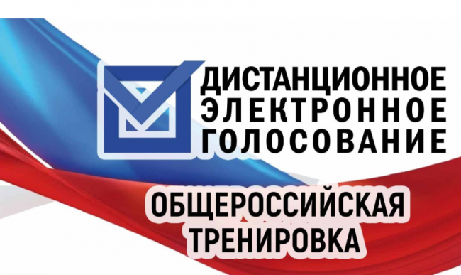 Тренировка дистанционного электронного голосования пройдет с 15 по 17 ноября..