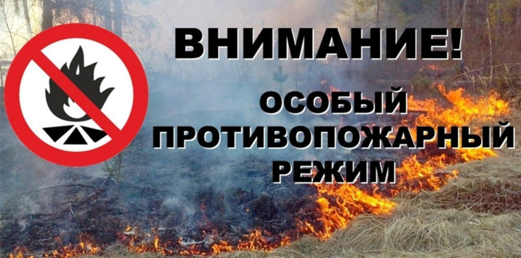 В лесах Кировской области установлен особый противопожарный режим.