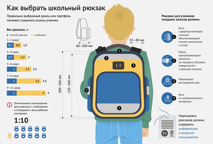 В преддверии нового учебного года Территориальный отдел Управления Роспотребнадзора по Кировской области в Вятскополянском районе направляет рекомендации по выбору школьного рюкзака (ранца).