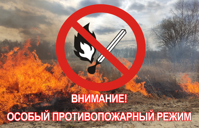 C 25.04.2024 года введен особый противопожарный режим на территории Кировской области !!!. C 25.04.2024 года введен особый противопожарный режим на территории Кировской области !!!.